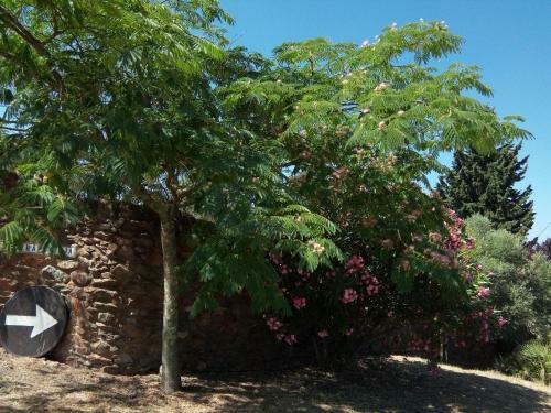 Agroturismo La Caldera Vieja