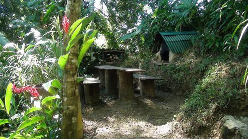 Bed & Breakfast Ka'kau Jungle Cabinas