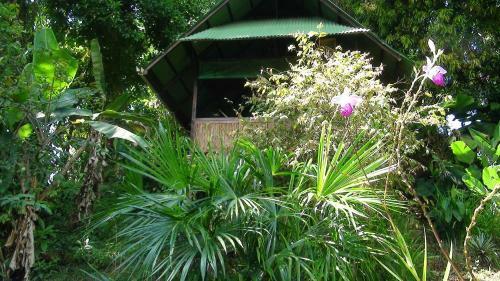 Bed & Breakfast Ka'kau Jungle Cabinas