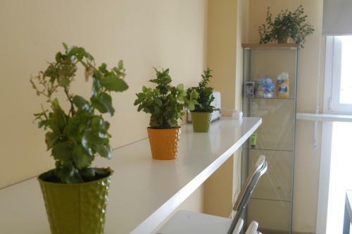 Albergue & Gimnasio Relise