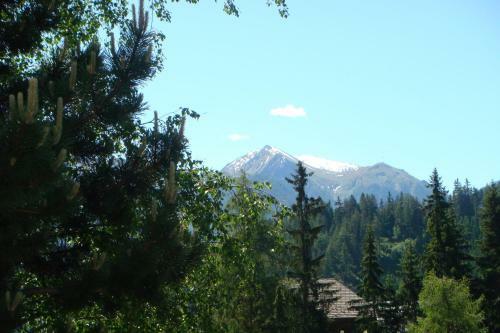 Apartamento Pension Alpenrose