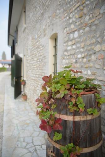 Agroturismo Agriturismo Ca' Premuda