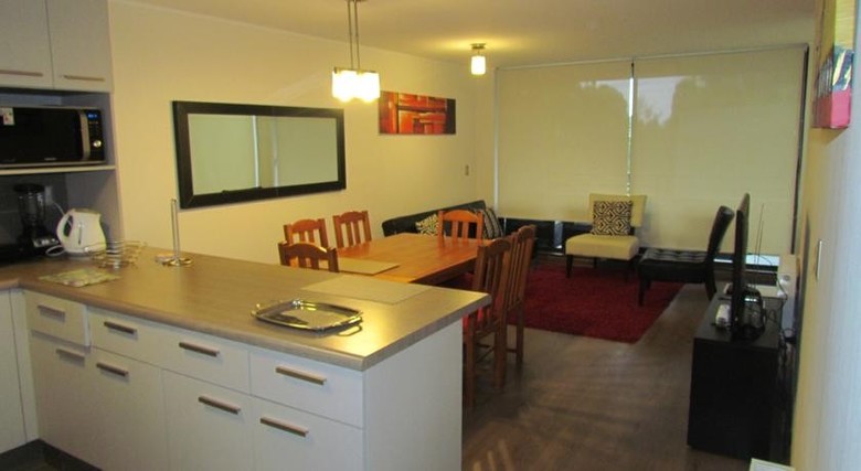 Apartamentos Departamento Condominio Costa Puc�n