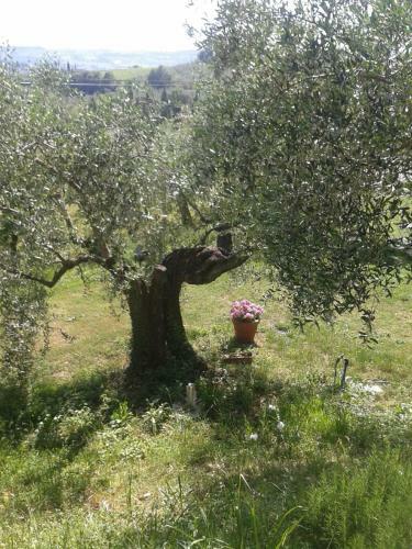 Apartamento Le Valli Lavanda