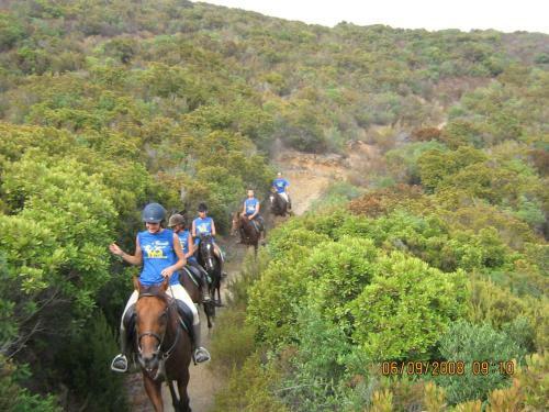 Centro Di Turismo Equestre B&B Shangril�
