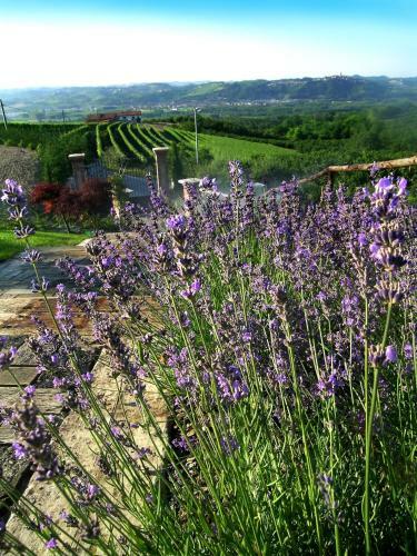 Agroturismo Villa Bricco Dei Cogni