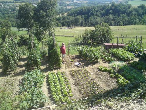 Agroturismo Agriturismo Alla Vecchia Quercia