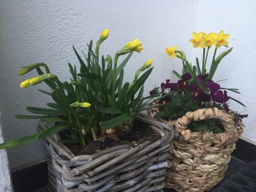 Hostal Pension Haus Am Wald
