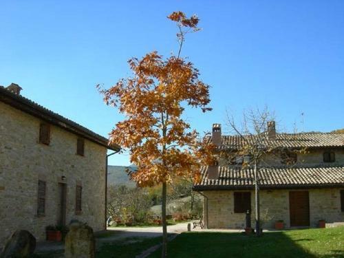 Agroturismo Residence I Girasoli