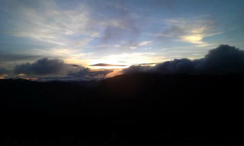 Cingjing Brilliant Twins Of Seattle