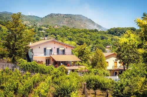 Casa Cl�