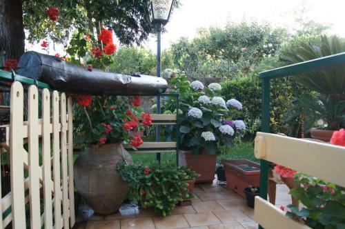 Casa Cl�