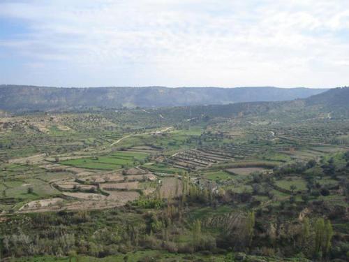 Casa Rural Albayac�n