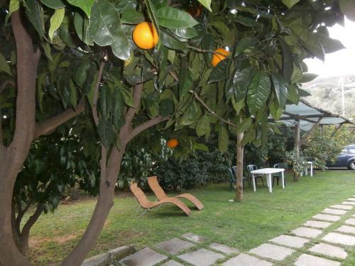 Bed & Breakfast Villa De Angelis