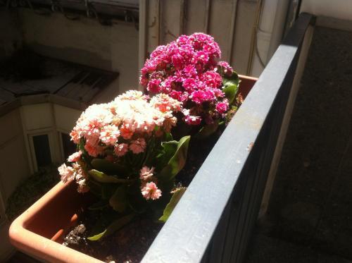 Bed & Breakfast Borgo Santa Lucia