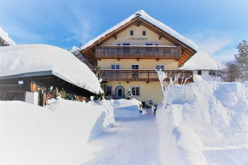 Hostal Alpengruss Apartment - Zimmer