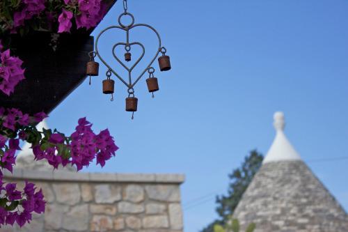 Agroturismo Antica Aia B&B
