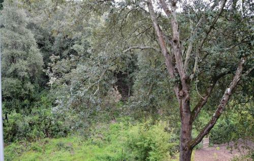 Holiday Home Sagone *xlvii *