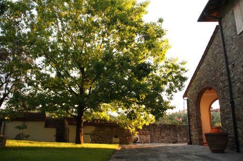 Podere Fichereto