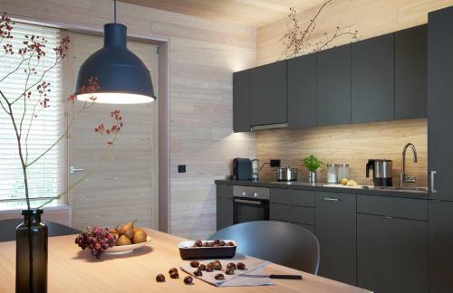 Apartamento See 31, Ferienlofts Am Traunsee