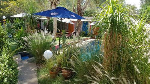 Albergue Alice's Secret Travellers Inn