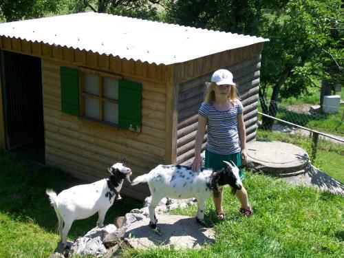 Apartamento Ferienhof Reichart