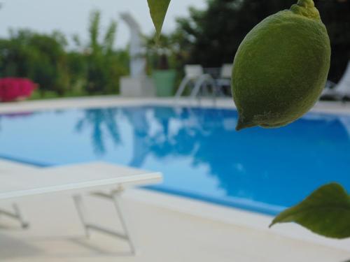 Agroturismo Agriturismo Dell'orto