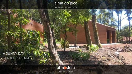 Apartamento Alma Do Pico