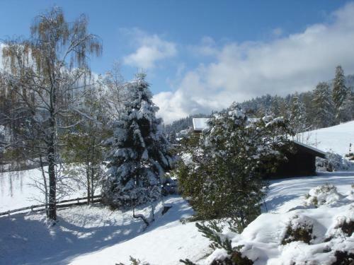 Apartamento Landhaus Frenes
