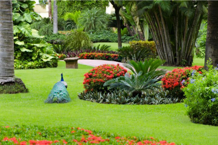 Hotel Velas Vallarta Suite Resort