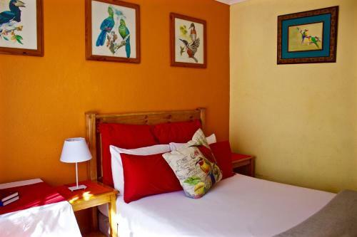 Albergue Old Vic Travellers Inn Nelspruit