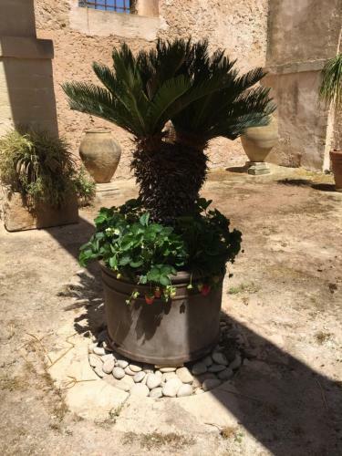 Bed & Breakfast Casale Rocca Fiorita