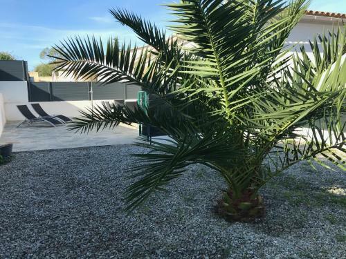 Apartamento Villa Antonia