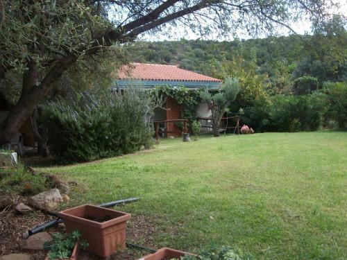 Agroturismo L'ulivo