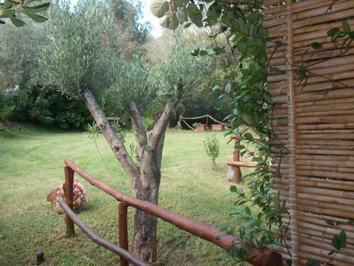 Agroturismo L'ulivo