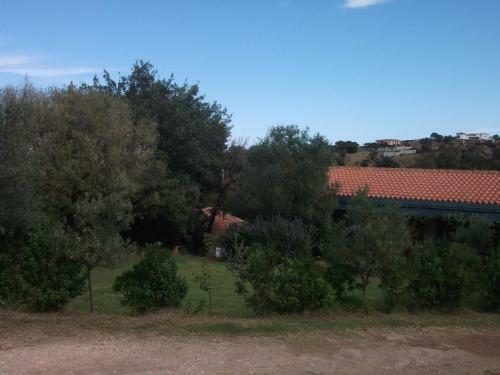 Agroturismo L'ulivo