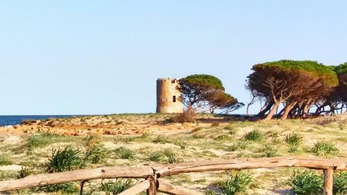 Agroturismo L'ulivo