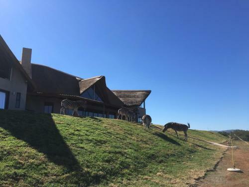 Agroturismo Jbay Zebra Lodge