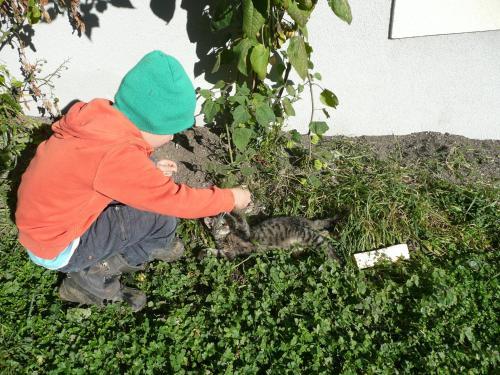 Agroturismo Maurachhof