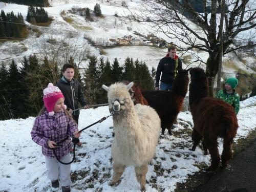 Agroturismo Maurachhof