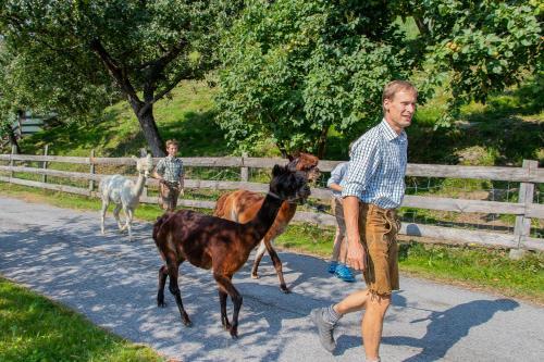 Agroturismo Maurachhof