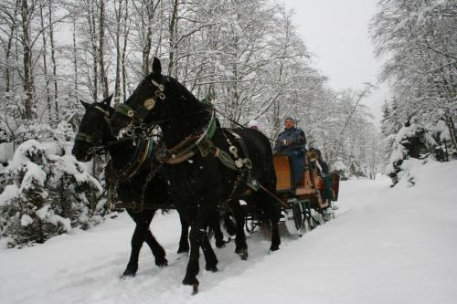 Agroturismo Maurachhof