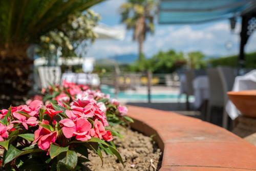 Agroturismo Il Nido Country House