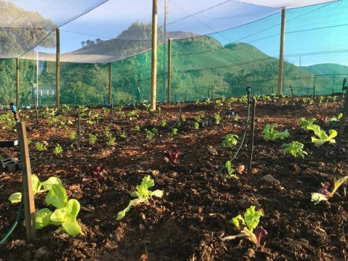 Hostal Rosendal Winery And Wellness Retreat