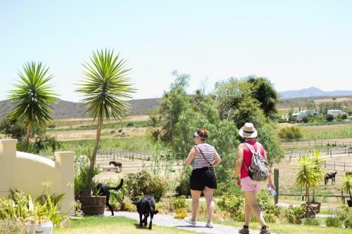 Hostal Rosendal Winery And Wellness Retreat