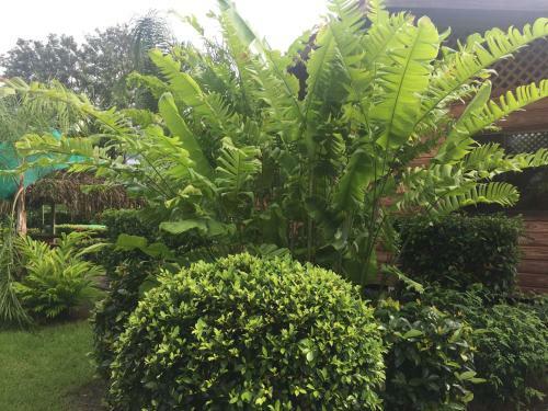 Costa Rica Holiday Home By Beach And Rain Forest