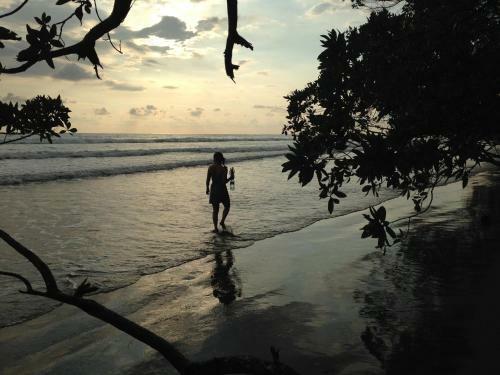Costa Rica Holiday Home By Beach And Rain Forest