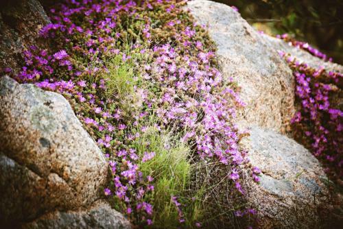 Bed & Breakfast Vecchia Fonte 3