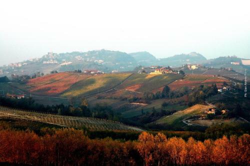 Bed & Breakfast Casapecchenino