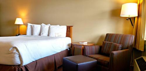Hotel Zinck's Inn Berlin